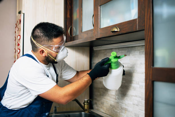 Best Pest Control for Businesses  in East Bronson, FL