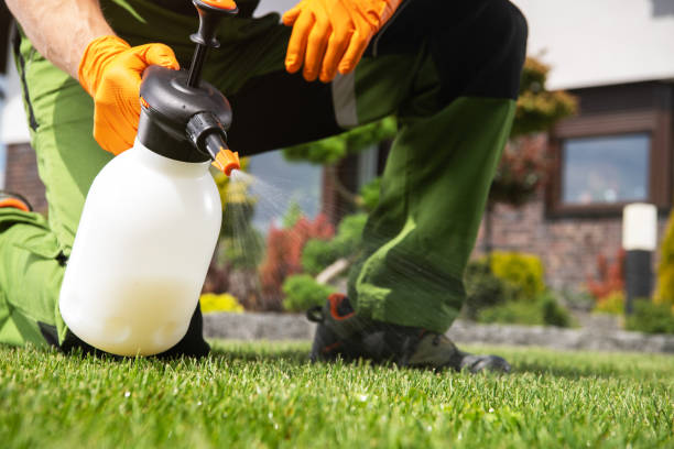 Best Pest Control Near Me  in East Bronson, FL