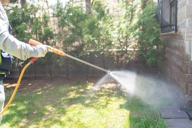 Trusted East Bronson, FL Pest Control Experts