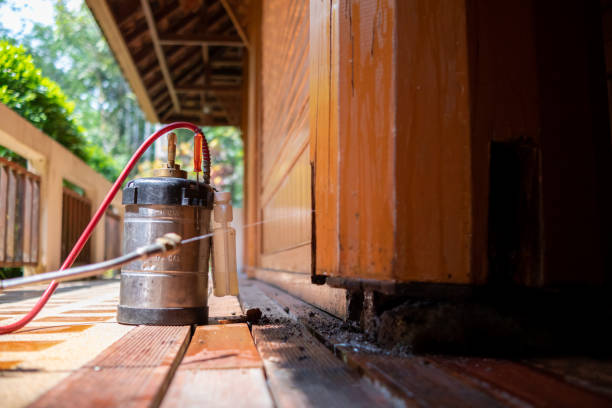 Best Best Pest Control Companies  in East Bronson, FL